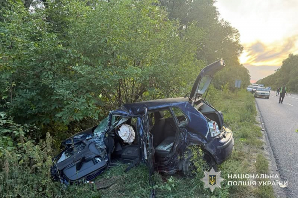 За дев’ять місяців на Тернопільщині виявили 1 740 нетверезих водіїв: 38 ДТП, троє загиблих