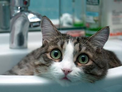 У Бучачі буде тимчасово відсутнє водопостачання
