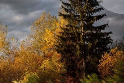 До +11 градусів удень: синоптики розповіли, якою буде погода на Тернопільщині