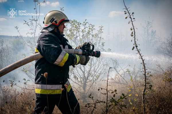 Три пожежі за добу на Тернопільщині: у Ланівцях вогонь охопив 50 квадратних метрів (фото)