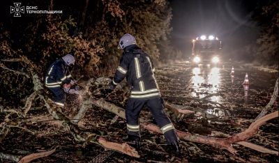 Величезне дерево впало та перекрило рух на міжнародній трасі на Тернопільщині (фото)