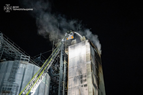 Рятувальники показали світлини з місця пожежі елеватора у Козовій (фото, відео)