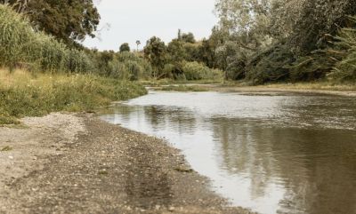 Чому на Тернопільщині міліють річки та ставки: еколог назвав основні причини