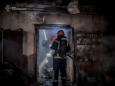 Вогонь охопив понад 3 гектари землі: горіли трава та будинок на Тернопільщині