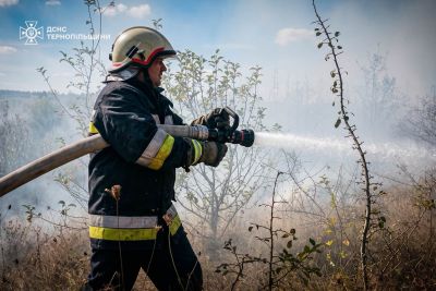 Три пожежі за добу на Тернопільщині: у Ланівцях вогонь охопив 50 квадратних метрів (фото)